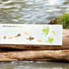 Metal Sign: Life Cycle of a Frog