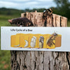 outdoor life cycle of bee sign